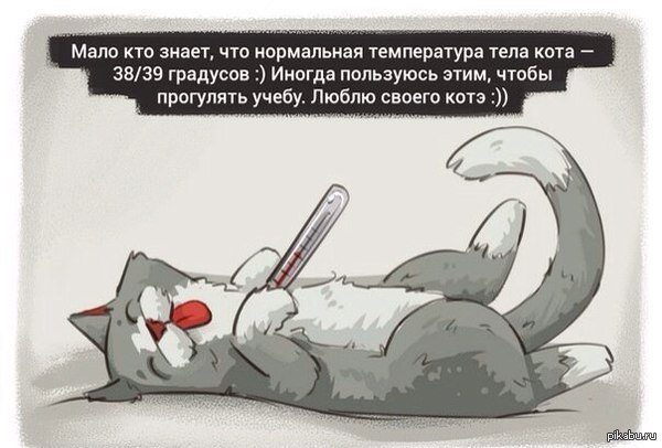 http://s2.pikabu.ru/post_img2/2014/02/06/6/1391674214_89456475.jpg