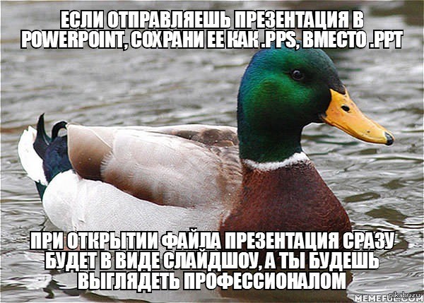 http://s2.pikabu.ru/post_img2/2014/02/07/5/1391749792_66942661.jpg