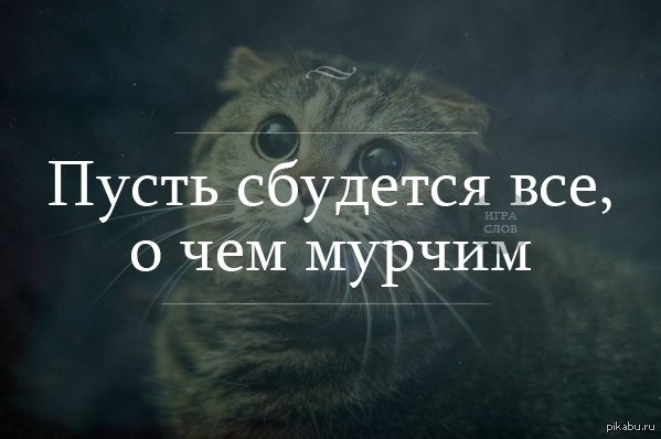 http://s2.pikabu.ru/post_img2/2014/01/24/0/1390507503_1989411911.jpg